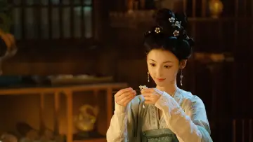 Zasłona к сериалу "珠帘玉幕" #1436228