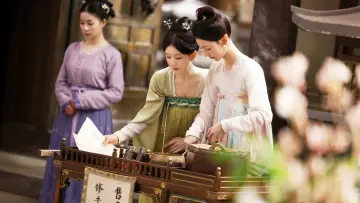 Zasłona к сериалу "珠帘玉幕" #1436235