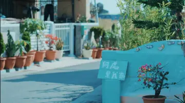 Zasłona к сериалу "向流星許願的我們" #1485221
