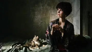 Zasłona do serialu "Zbrodnia i kara" #1904151