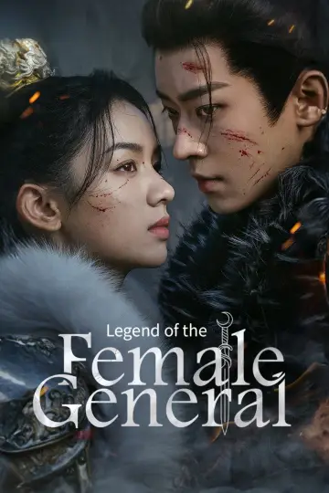 锦月如歌 plakat