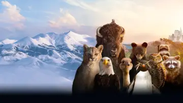Zasłona к сериалу "The Americas" #1412445