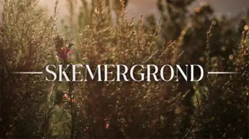 Zasłona do serialu "Skemergrond" #1227259
