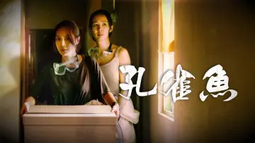 孔雀魚 plakat