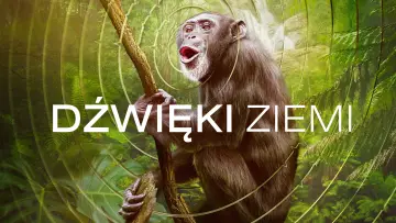 Zasłona do serialu "Dźwięki Ziemi" #1885257