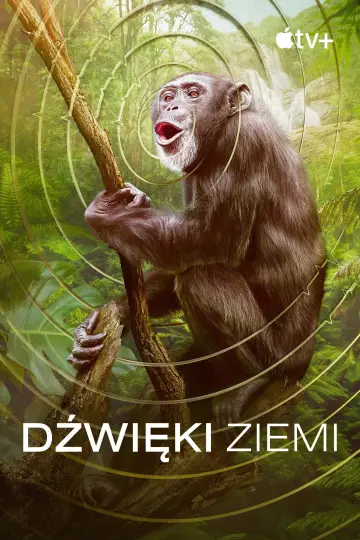 Plakat do serialu "Dźwięki Ziemi" #1885297