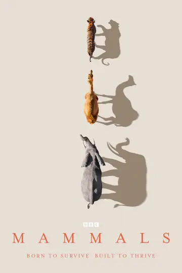 Plakat do serialu "Ssaki" #1820277