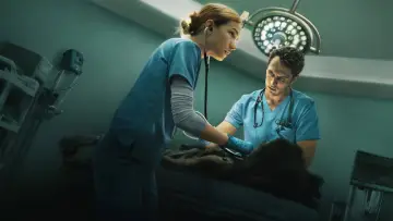 Zasłona к сериалу "Puls" #1490584