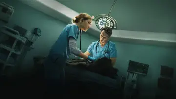Zasłona к сериалу "Puls" #1490587