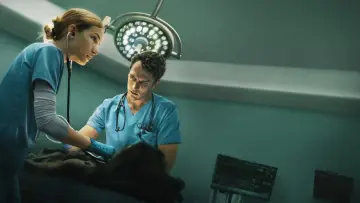 Zasłona к сериалу "Puls" #1490588