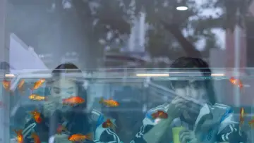 Zasłona к сериалу "难哄" #1378257