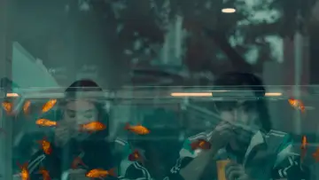 Zasłona к сериалу "难哄" #1378258