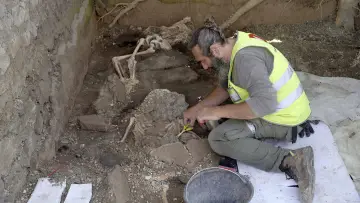 Zasłona do serialu "Pompeje: Nowe wykopaliska" #1883204