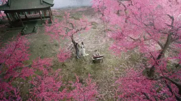 Zasłona к сериалу "水龙吟" #1433562