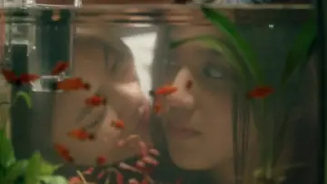 Zasłona к сериалу "Us รักของเรา" #1494292