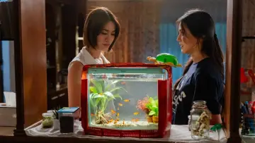 Zasłona к сериалу "Us รักของเรา" #1494313