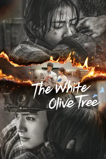 Plakat к сериалу "白色橄榄树" #1441069