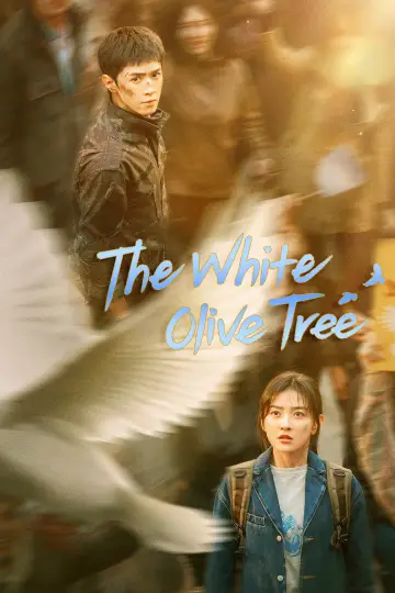 Plakat к сериалу "白色橄榄树" #1441072