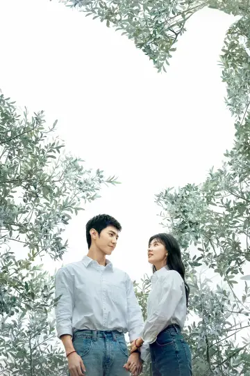 Plakat к сериалу "白色橄榄树" #1441075