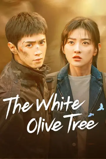 Plakat к сериалу "白色橄榄树" #1441078