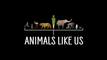 Zasłona do serialu "Animals Like Us" #1851632