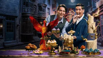 Zasłona к сериалу "Harry Potter: Magiczne wypieki" #1420748
