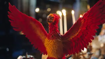 Zasłona к сериалу "Harry Potter: Magiczne wypieki" #1420755
