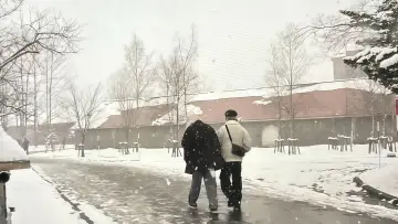 Zasłona к сериалу "Are You Sure?!" #1489448