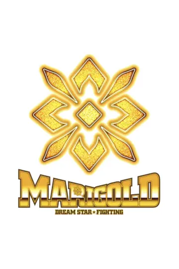 Dream Star★Fighting Marigold plakat
