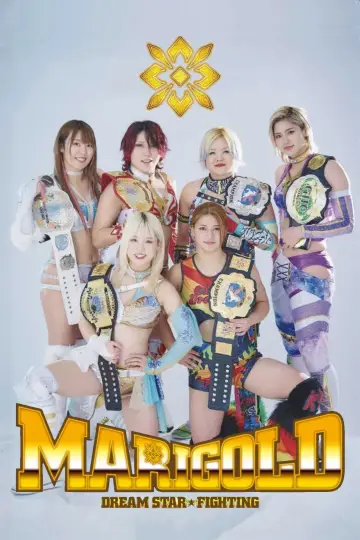 Plakat do serialu "マリーゴールド" #1223718