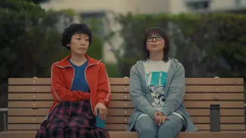 Zasłona do serialu "Dwójka w kompleksie mieszkaniowym" #1556318