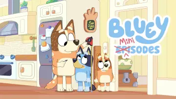 Zasłona к сериалу "Blue w szortach" #1421942