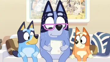 Zasłona к сериалу "Blue w szortach" #1421943