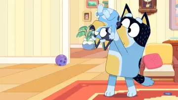 Zasłona к сериалу "Blue w szortach" #1421944