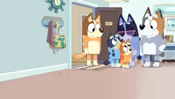 Zasłona к сериалу "Blue w szortach" #1421945