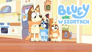Zasłona к сериалу "Blue w szortach" #1421947