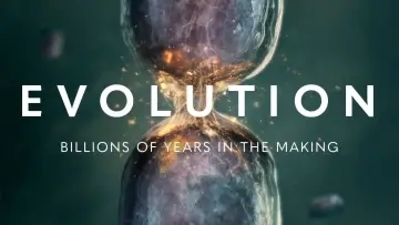 Zasłona do serialu "Evolution" #1601091