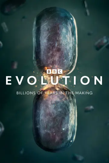 Evolution plakat