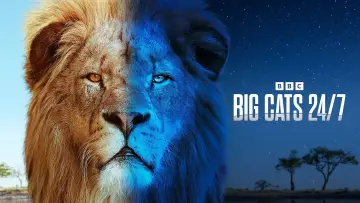 Zasłona do serialu "Big Cats 24/7" #1491422