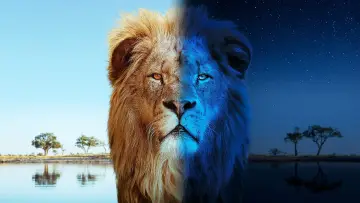 Zasłona do serialu "Big Cats 24/7" #1491423