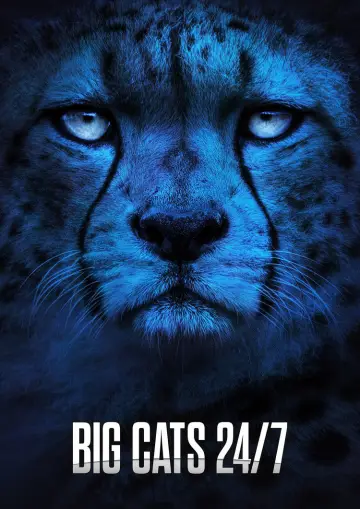 Plakat do serialu "Big Cats 24/7" #1491430