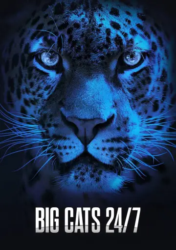 Plakat do serialu "Big Cats 24/7" #1491431
