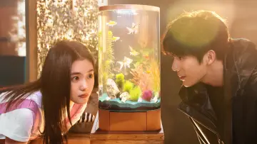 Zasłona к сериалу "陷入我们的热恋" #1492842