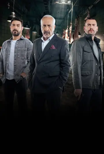 Plakat do serialu "Agent" #1606062