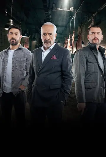 Plakat do serialu "Agent" #1606064