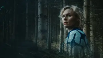 Zasłona do serialu "Wäldern" #1673530
