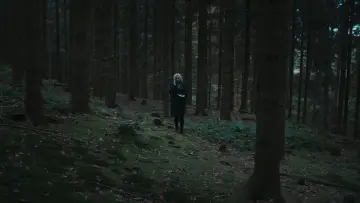 Zasłona do serialu "Wäldern" #1673536
