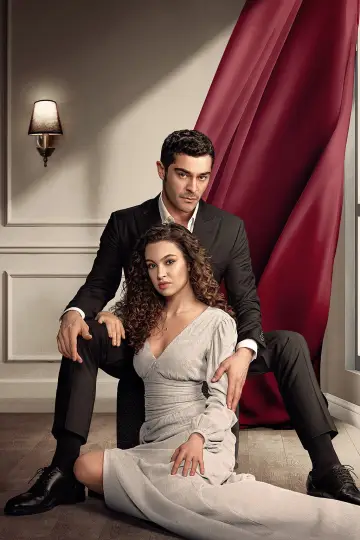 Plakat do serialu "Bir Gece Masalı" #1427685