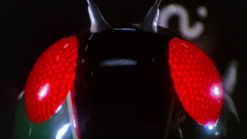 Zasłona do serialu "Kamen Rider Black" #1537868