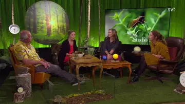 Studio Natur plakat